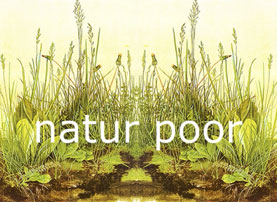 natur poor